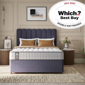 Sealy Elevate Mattress