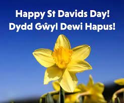 St David's Day