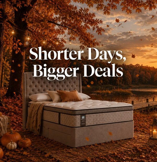 Save 20% off Sealy this Autumn