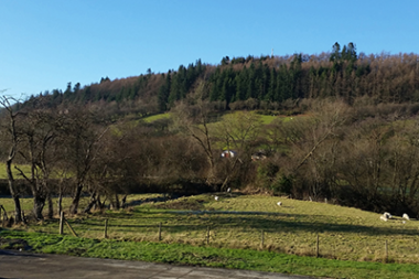 view from cafe