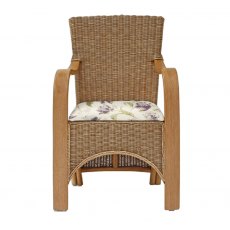 Daro Waterford Dining Carver Chair