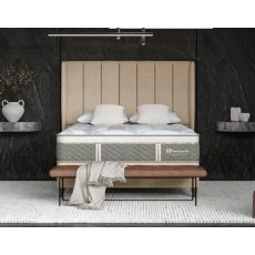 Sealy Exquisite Essence Divan Set