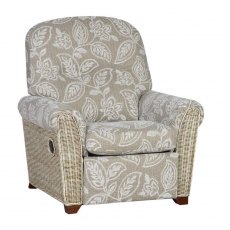 The Cane Industries Della Power Recliner