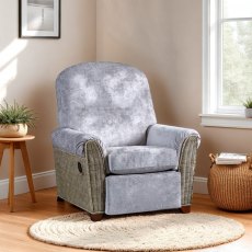 The Cane Industries Della Power Recliner