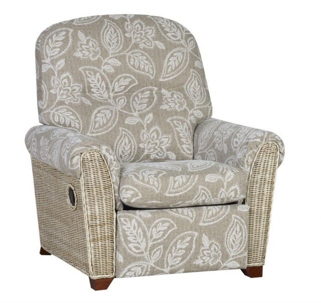 The Cane Industries The Cane Industries Della Power Recliner