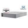 Sealy Sealy Elevate Ultra Priestly Extra Firm Mattress