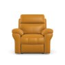 La-Z-Boy La-Z-Boy Dixie Powered Recliner Armchair With Head Tilt
