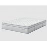 Sealy Sealy Select Medium Luxe Mattress